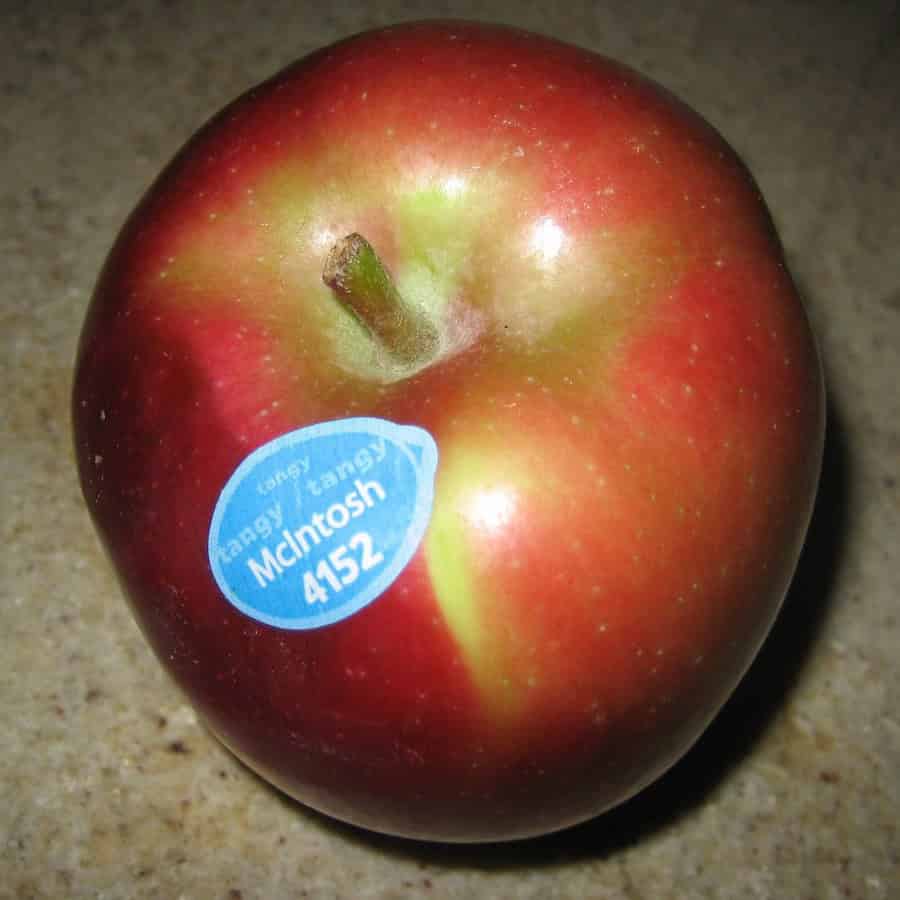 McIntosh Apple