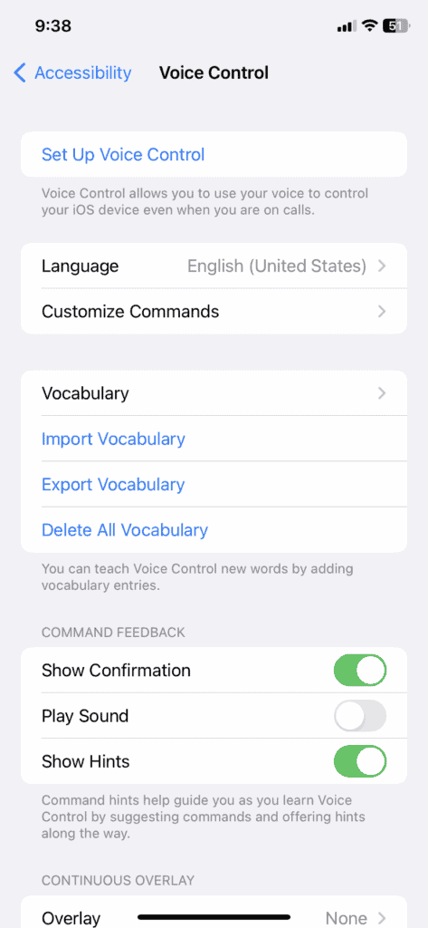 Enable Apple Voice Control