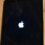 iPad Stuck On Apple Logo