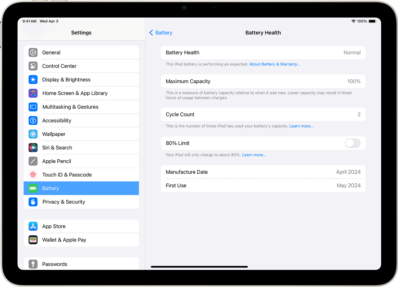 iPad Battery Health