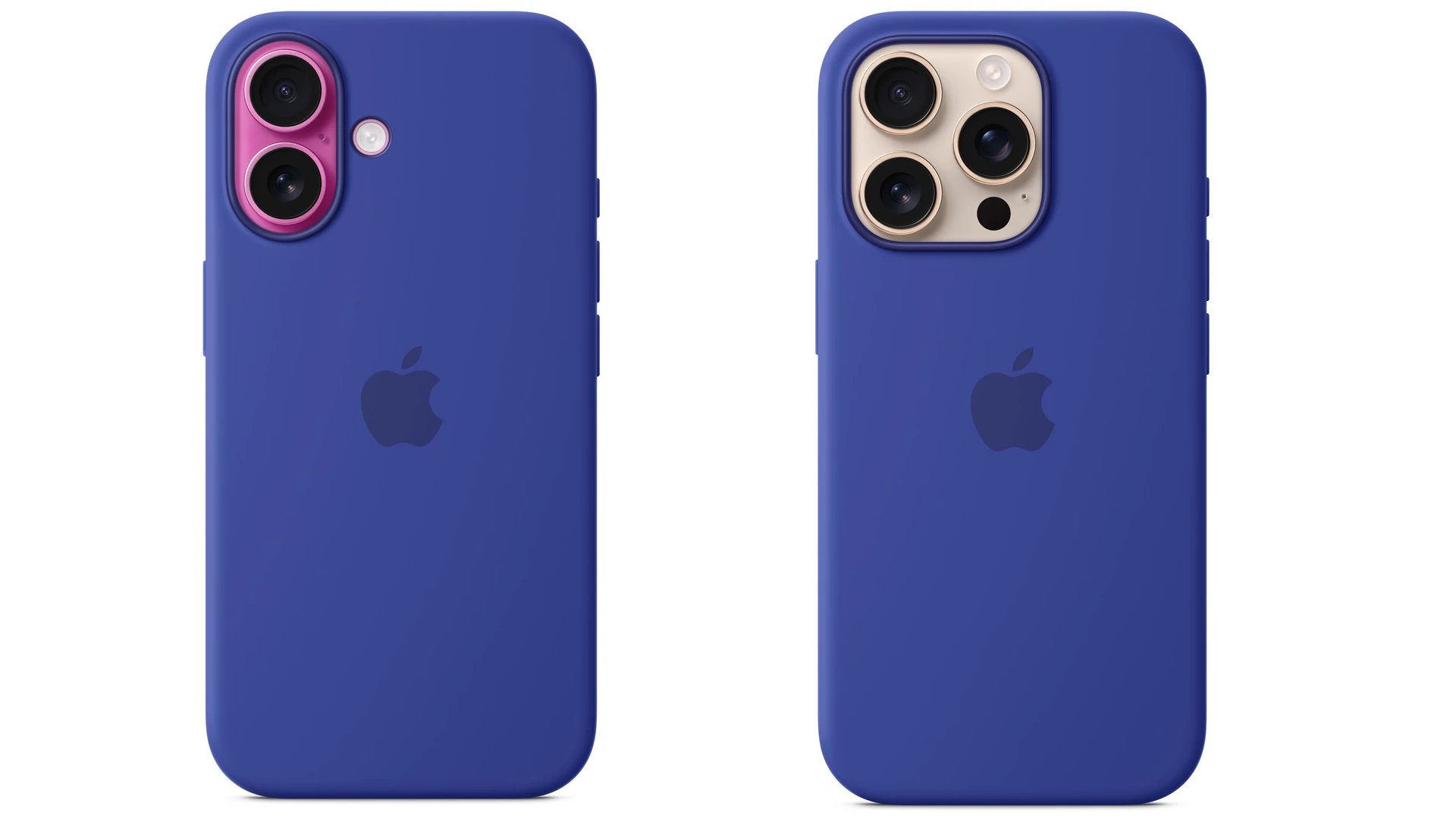 iPhone 16 Cases