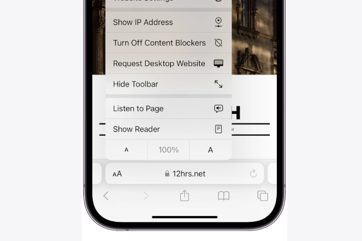 iPhone Page Reader Option