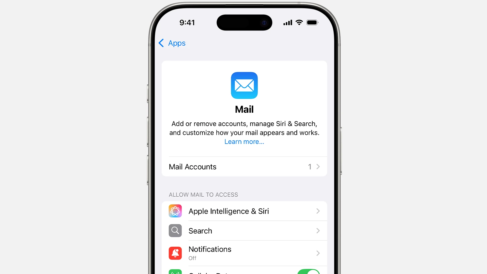 iPhone Mail Settings