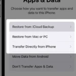 iPhone Restore Options