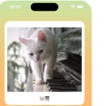 iPhone Video Widget