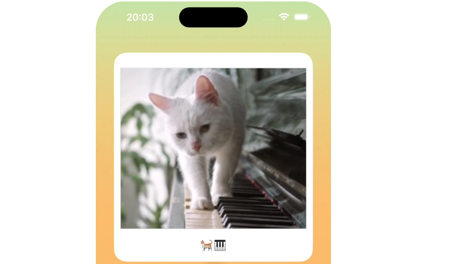 iPhone Video Widget