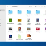 MacOS Files